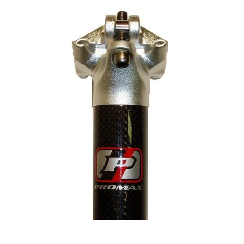 Carbon Dual Bolt Seat Post - 31.6 X 350mm