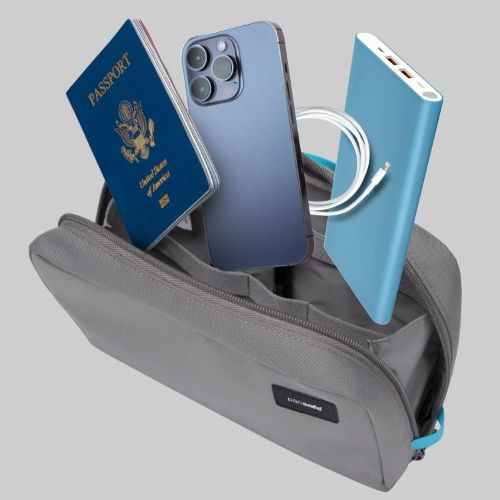 Pacsafe RFIDsafe Gear Pouch S25