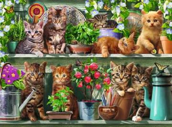 Ravensburger Cats On The Shelf Puzzle 500Pc