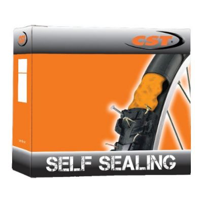 CST 26 X 1.9/2.125 Seal Seal Tube - AV