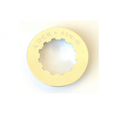 Alloy Hub Lock Ring