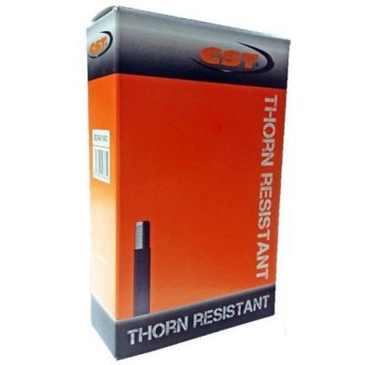 24 X 1.75/2.125 Thornproof Tube - AV