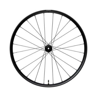 Shimano WH-RX180 Rear Wheel - 700C Tubeless 12mm Centerlock