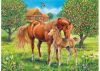 Ravensburger  Horses In The Field 100pc Puzzle